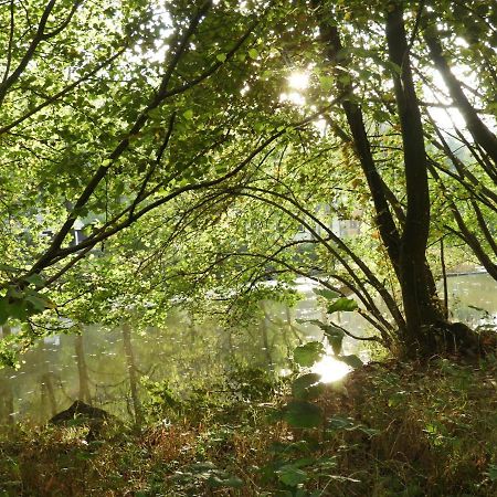 Ardennen Vakantie Chalet Durbuy Eksteriør bilde