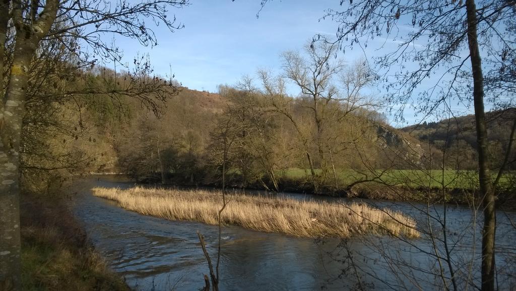 Ardennen Vakantie Chalet Durbuy Eksteriør bilde