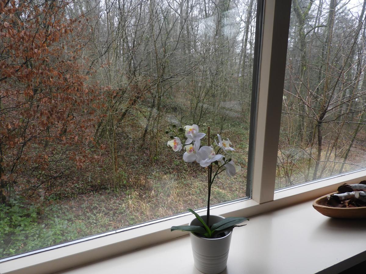 Ardennen Vakantie Chalet Durbuy Eksteriør bilde
